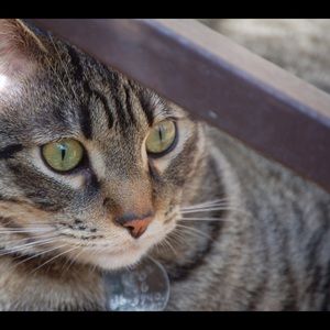 Meet your Posher, Dan